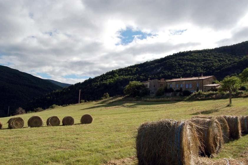 La Ferme De La Condamine Bed & Breakfast Saint-André-de-Rosans Eksteriør bilde