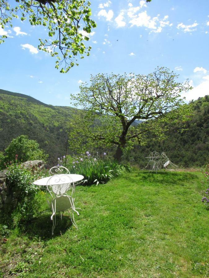 La Ferme De La Condamine Bed & Breakfast Saint-André-de-Rosans Eksteriør bilde